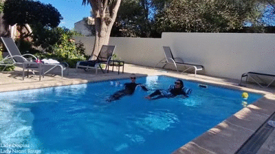 Latex Ladies in the Pool