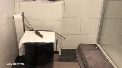 I shit on your cock